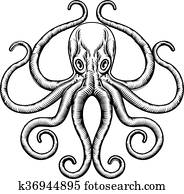 Octopus or Squid Illustration Octopus or Squid Illustration