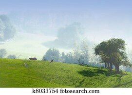 the green countryside the green countryside