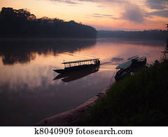 Amazon rainforest sunrise Amazon rainforest sunrise
