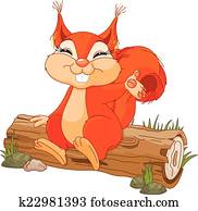 esquilo, em, férias