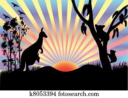 koala, e, canguru, em, pôr do sol
