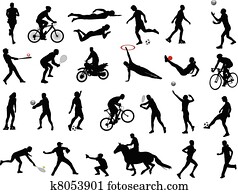 sport collection sport collection