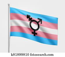transgender, símbolo, en, el, transgender, bandera, en, trans, colores, azul, rosa, y, púrpura