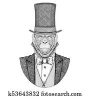 Gorilla, monkey, ape. Animal wearing jacket with bow-tie and silk hat, beaver hat, cylinder top hat. Elegant vintage animal. Image for tattoo, t-shirt, emblem, badge, logo, patch Gorilla, monkey, ape. Animal wearing jacket with bow-tie and silk hat, beaver hat, cylinder top hat. Elegant vintage animal. Image for tattoo, t-shirt, emblem, badge, logo, patch
