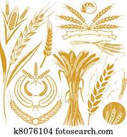Wheat Collection Wheat Collection
