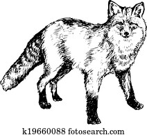 העבר, צייר, שועל