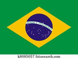 Brasilian flag Brasilian flag