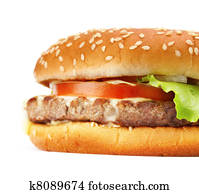 hamburger hamburger