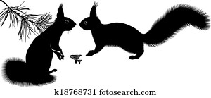squirrel squirrel