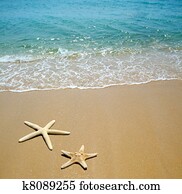 starfish, ligado, um, areia praia