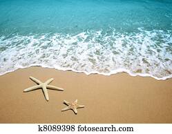 starfish on a beach sand