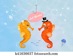 Wedding of seahorses Wedding of seahorses