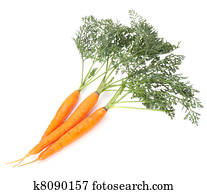 carrots carrots