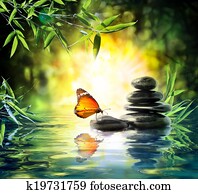 delicate concept - butterfly 