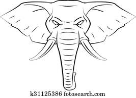 elefante