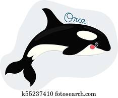 engraçado, baleia assassino, orca