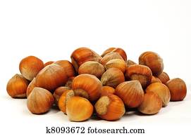 hazelnuts