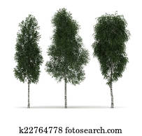 Isolated Trees Isolated Trees