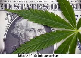 podrobnosť, od, cannabis leaf, príliš, american dollar, návrh zákona