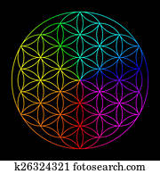 Rainbow flower of life