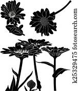 マリーゴールド 花 ベクトル クリップアート K73560759 Fotosearch