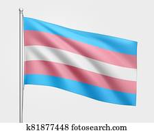 Transgender flag in trans colors blue, pink and purple