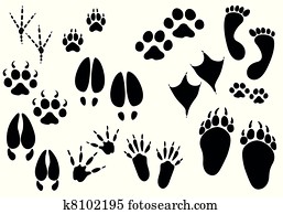 Vector - animal trails Vector - animal trails