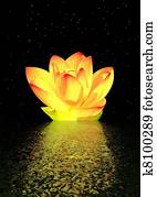 water lily water lily