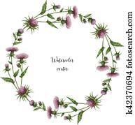 aquarell, vektor, runder, rahmen, von, milch, thistle. aquarell, vektor, runder, rahmen, von, milch, thistle.