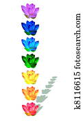 Chakra colors of lily flowers Chakra colors of lily flowers