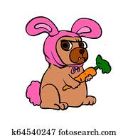 Dog costume rabbit Dog costume rabbit