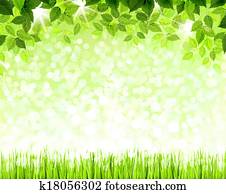 green leaves green leaves