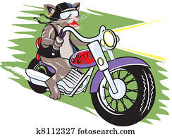 אופנוען, חתול