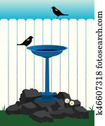 bakgård, fågel bada