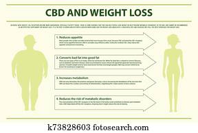 cbd, 以及, 重量損失, 水平, infographic