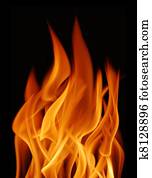 Flame Flame