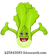 lettuce cartoon lettuce cartoon