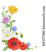 annual wildflowers annual wildflowers