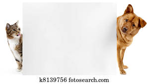 Cat and dog banner