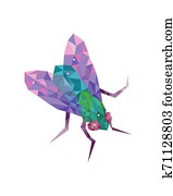 fly constellation fly constellation