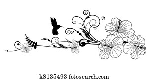 hibiskus, und, kolibri hibiskus, und, kolibri