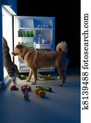 Midnight snacks Midnight snacks
