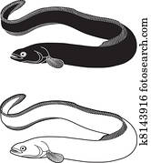 Eel river Eel river