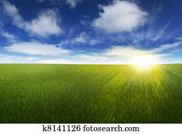 Sunny sky over grassy field Sunny sky over grassy field