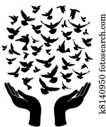 ידיים, לשחרר, שלום, יונה