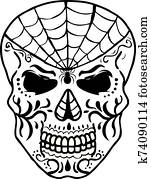 עכביש רשת, סוכר, גולגולת