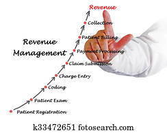 Diagram of Revenue  Management