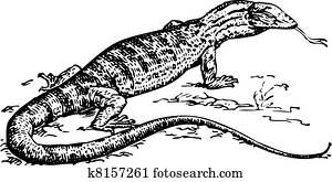 Sand goana Sand goana