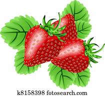 Strawberries Strawberries