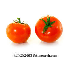 tomato tomato